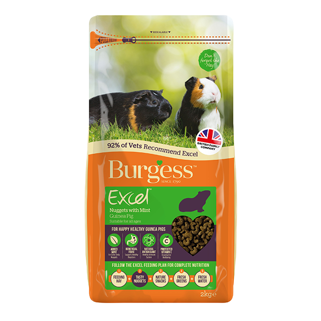 Burgess Excel Guinea Pig Nuggets with Mint - Thumper’s Pet Supplies