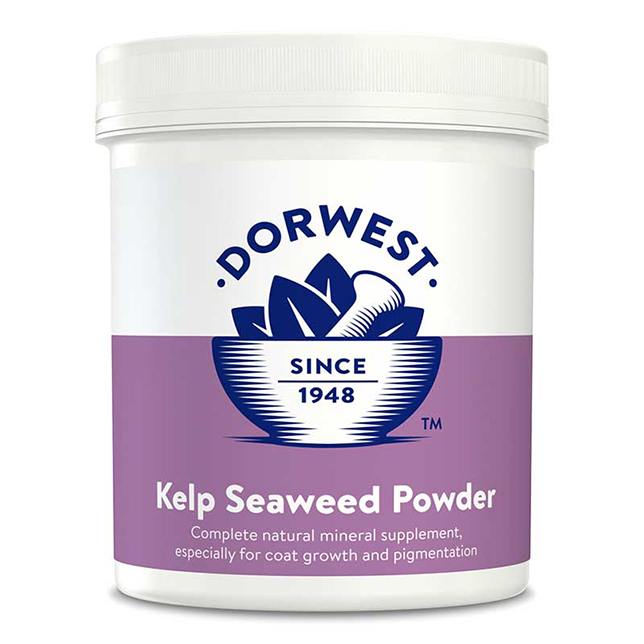 Dorwest Kelp Seaweed Powder For Dogs And Cats - Thumper’s Pet Supplies