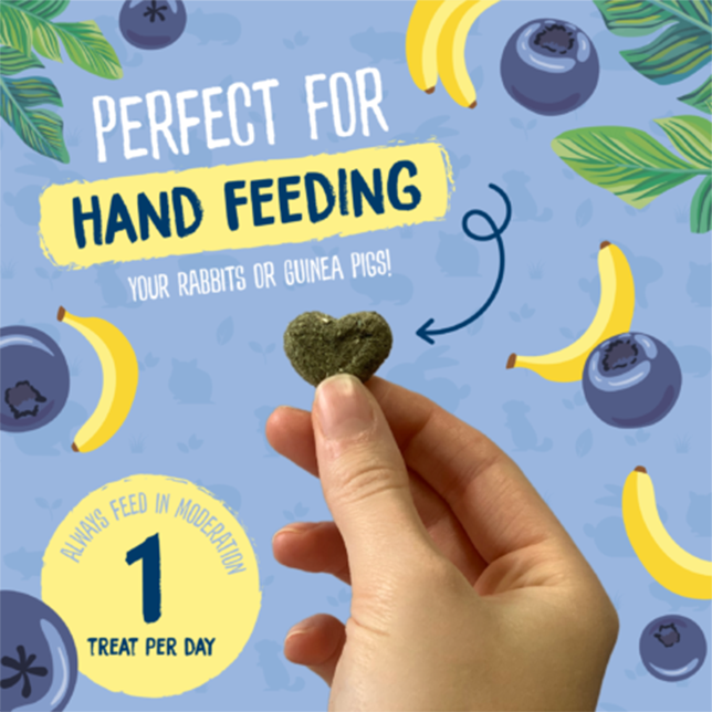 Burgess Excel Nature Snacks Fruity Feasts - Thumper’s Pet Supplies