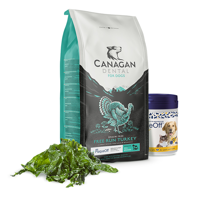 Canagan For Dogs Dental Free Run Turkey - All Life Stages