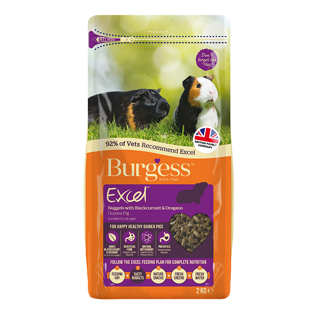 Burgess Excel Guinea Pig Nuggets with Blackcurrant &amp; Oregano - Thumper’s Pet Supplies